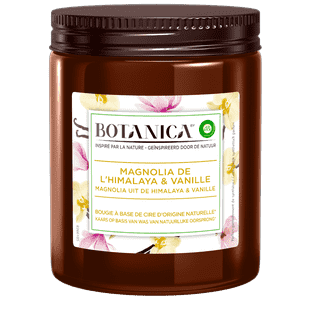 candle magnolia